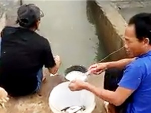 Clip: Dùng bột mì và chai nước, vẫn giật cá mỏi tay ở Phan Thiết