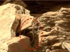 Tìm thấy vật thể lạ nghi rắn hổ trên sao Hỏa