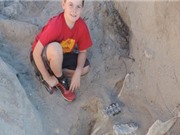 Cậu bé 9 tuổi tìm ra bộ xương hóa thạch 1 triệu năm tuổi