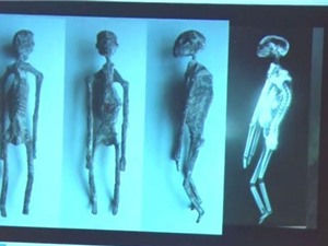 Tìm thấy 5 xác ướp người ngoài hành tinh ở Peru?