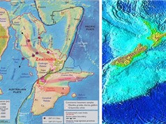 Thám hiểm lục địa thứ 8 chìm dưới Thái Bình Dương