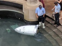 Robot an ninh Mỹ 'chết đuối' ở đài phun nước
