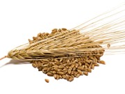 6 lợi ích tuyệt vời của lúa mạch với sức khỏe