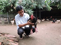 NDXS 2017: "Vua gà" Đông Tảo hé lộ bí quyết hốt gọn 3,5 tỷ đồng/năm