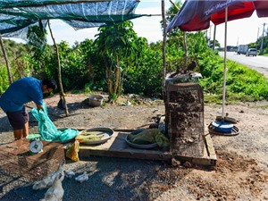 Con đường chuyên bán rắn, chuột ở ngoại ô Sài Gòn