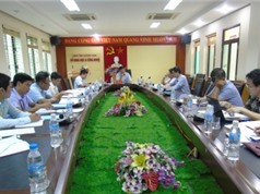 Quảng Ninh phát triển cây dược liệu Hà thủ ô đỏ tại huyện Ba Chẽ
