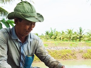 Tỷ phú kỳ công nuôi cá chình giữa bưng biền Cà Mau