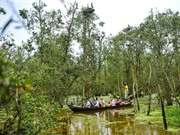 Mục sở thị vườn quốc gia hút khách du lịch bậc nhất Việt Nam