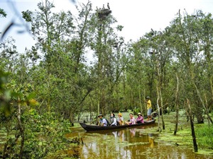Mục sở thị vườn quốc gia hút khách du lịch bậc nhất Việt Nam