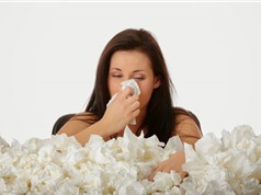Một số bài thuốc trị viêm xoang mũi bằng tỏi cực kỳ hiệu quả