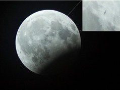 Phát hiện vật thể lạ trong ảnh “gấu ăn trăng” ở Hà Nội