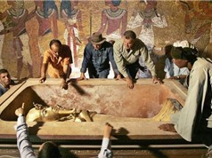 Pharaoh Ai Cập là người đầu tiên mắc bệnh khổng lồ