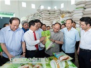 Ông Đào Đức Huấn: Cần cơ cấu lại hình ảnh gạo Việt Nam