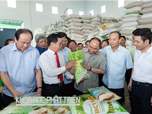 Ông Đào Đức Huấn: Cần cơ cấu lại hình ảnh gạo Việt Nam