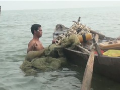 Clip: Kéo lưới bắt cá bống ở hồ Trị An, kiếm tiền triệu mỗi ngày