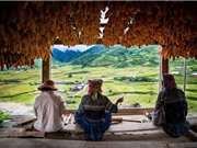 Vẻ đẹp của Việt Nam qua ống kính của nhiếp ảnh gia Pháp