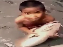 Clip: Cậu bé chơi đùa giữa bầy cá trê “khủng”