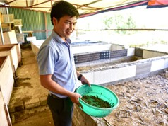 8x kiếm tiền tỷ mỗi năm nhờ nuôi bọ cạp, rắn mối… ở Hà Nội