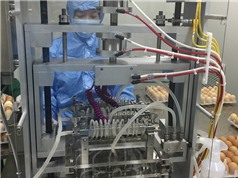 Sản xuất vắcxin cúm gia cầm 2 trong 1: Việt Nam làm chủ công nghệ sản xuất vắcxin nhị giá