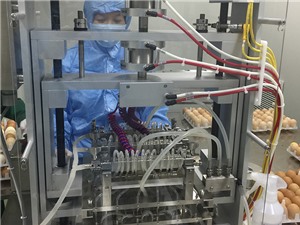 Sản xuất vắcxin cúm gia cầm 2 trong 1: Việt Nam làm chủ công nghệ sản xuất vắcxin nhị giá