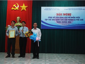 Bảo hộ nhãn hiệu tập thể “Khe Sanh” cho sản phẩm cà phê chè