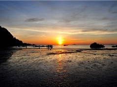 “Mục sở thị” bãi biển đẹp bậc nhất vùng Bắc Trung Bộ