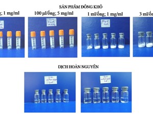 Việt Nam sản xuất được Interleukin-3 và Interleukin-11 hỗ trợ điều trị sau ung thư