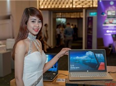 HP giới thiệu 3 laptop mới ở Việt Nam, giá từ 12,3 triệu đồng