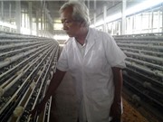 Lão nông xuất khẩu 200.000 trứng tí hon, lãi 12 triệu đồng mỗi ngày