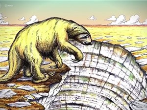 Phát hiện hóa thạch của một con lười khổng lồ tại Mexico