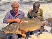 Clip: Câu được cá rô sông Nile nặng hơn 45kg