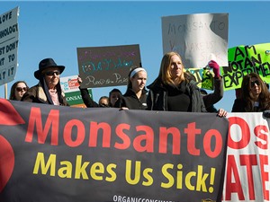 Monsanto - “ông kẹ” về bản quyền hạt giống