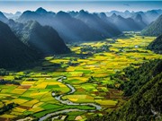 Diện tích Việt Nam lớn thứ mấy tại Đông Nam Á?