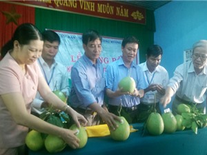 Công bố nhãn hiệu tập thể “Thanh trà Huế” - Hương Vân