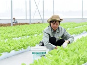 Xem xét hỗ trợ Hà Nam triển khai nông nghiệp công nghệ cao