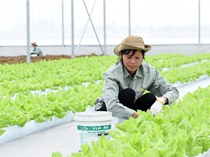 Xem xét hỗ trợ Hà Nam triển khai nông nghiệp công nghệ cao