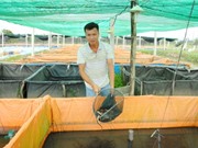 Chàng kỹ sư công nghệ thông tin thành công với nghề… nuôi lươn