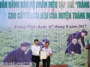 Cây thạch đen Tràng Định, Lạng Sơn nhận nhãn hiệu tập thể