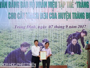 Cây thạch đen Tràng Định, Lạng Sơn nhận nhãn hiệu tập thể