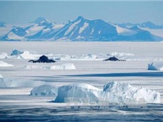 Hai yếu tố bất thường khiến băng tan kỷ lục ở Nam Cực