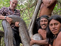 Clip: Theo chân thổ dân Amazon đi bắt trăn khổng lồ