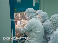 Bản đồ công nghệ tạo đà cho vắcxin “made in Vietnam”