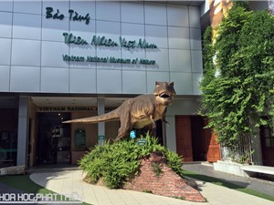 Ngắm các mẫu vật về tiến hóa tại Bảo tàng Thiên nhiên Việt Nam