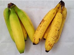 5 cách “hô biến” trái cây chín nhanh không cần đến hóa chất