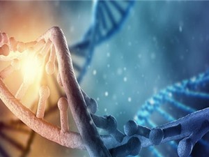 Trải nghiệm thời thơ ấu có thể thay đổi vĩnh viễn DNA 