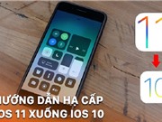Hướng dẫn hạ cấp iOS 11 về lại iOS 10.3.3