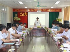 Bắc Giang đặt mục tiêu đưa vải thiều vào danh mục sản phẩm quốc gia