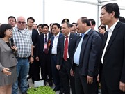Hà Nam hướng trọng tâm phát triển nông nghiệp công nghệ cao