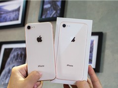 Giá iPhone 8 và iPhone 8 Plus tiếp tục "lao dốc" tại Việt Nam