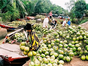 Bến Tre: “Cầu viện” khoa học để làm thương hiệu cho nông sản